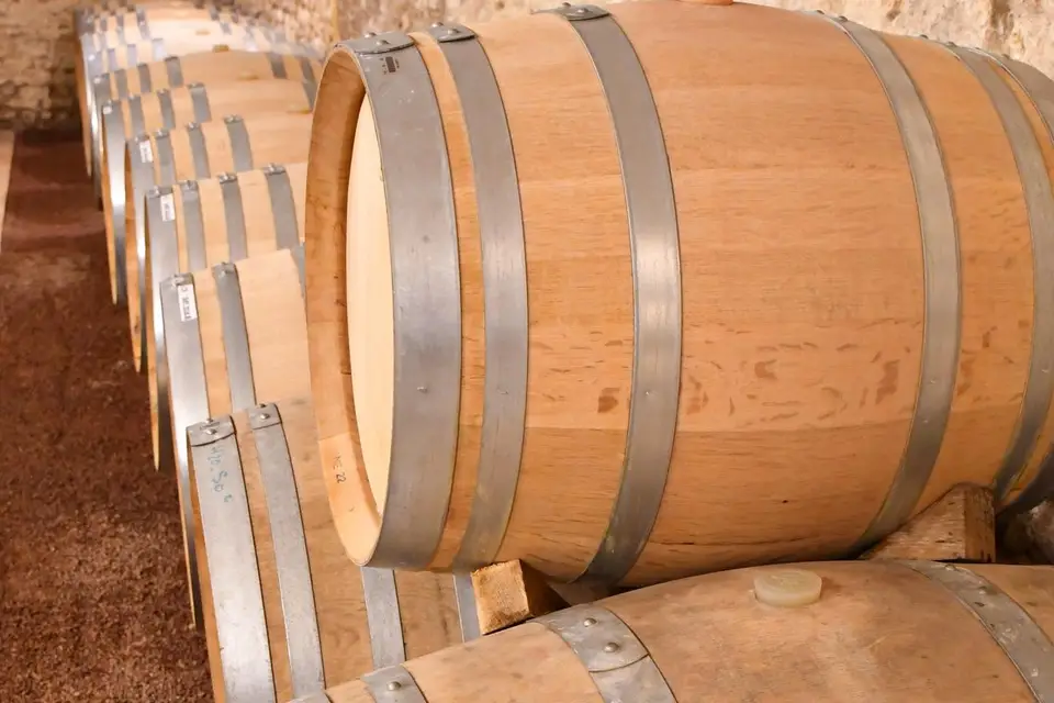 Château Belmar - Cavo — photo 7