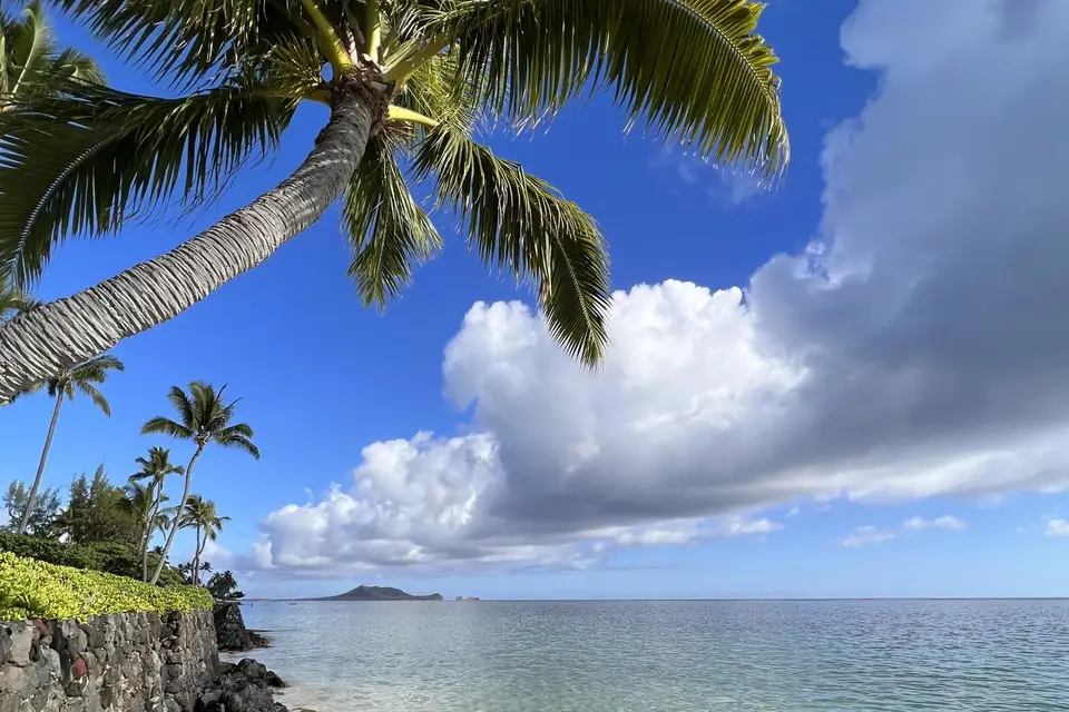 Your Travel — photo 2