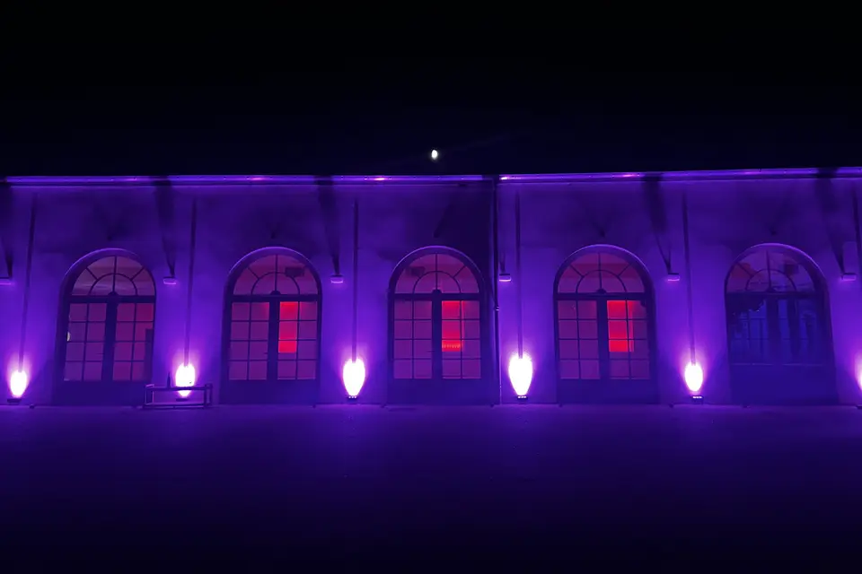 Les Magnolias — photo 6