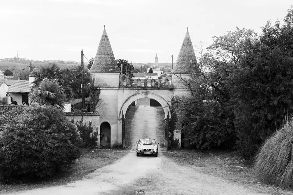 Les Magnolias — photo 2