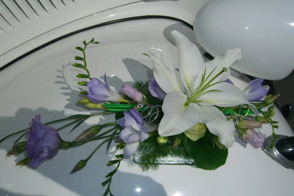 Roulez en Fêtes — photo 3