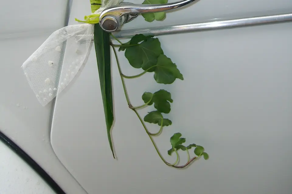 Roulez en Fêtes — photo 4