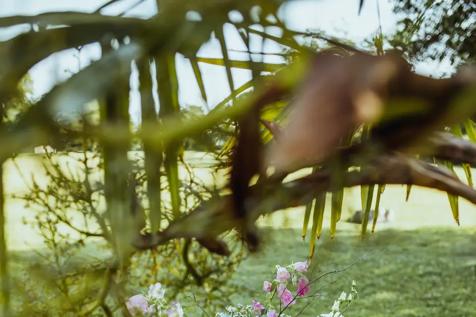 Créapop Events — photo 4