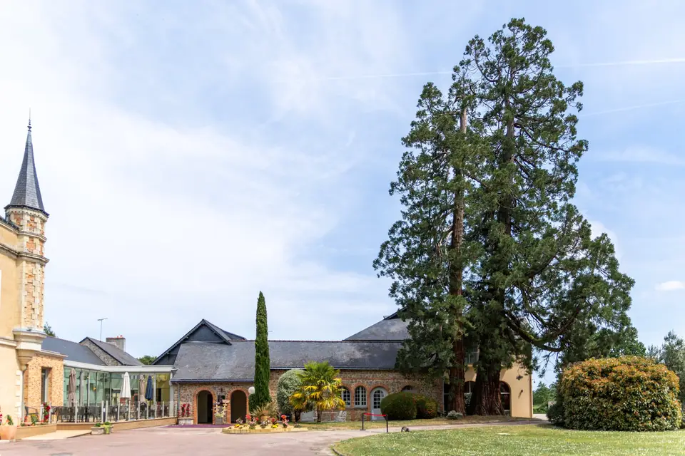 La Ferrière*** — photo 2