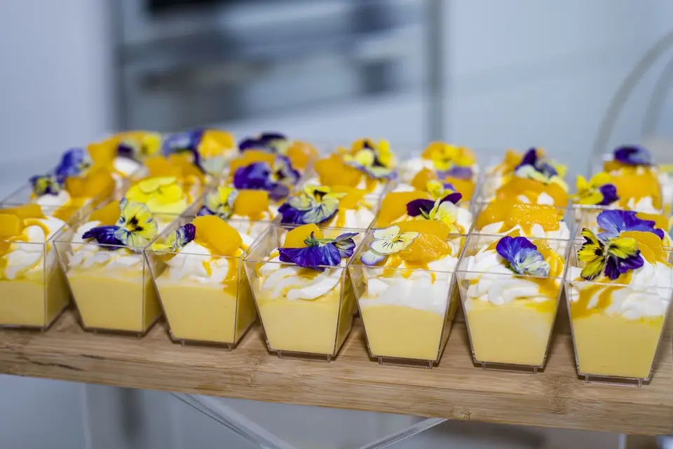 Koucoulis — photo 8