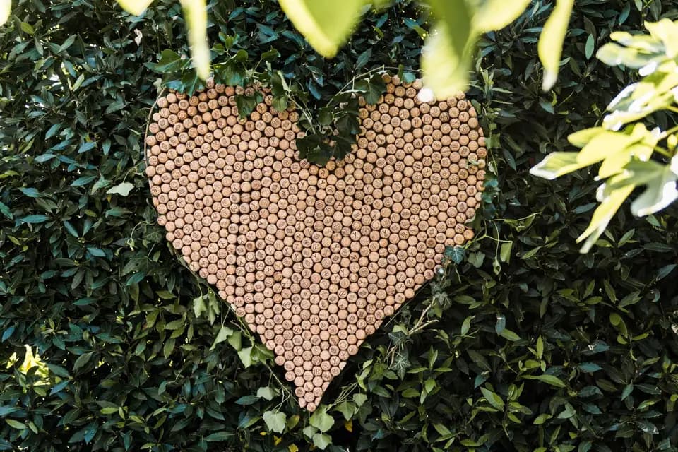 Kim Weber — photo 2