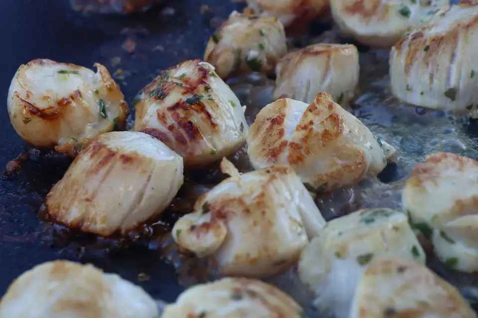 Braz.Braseros — photo 3