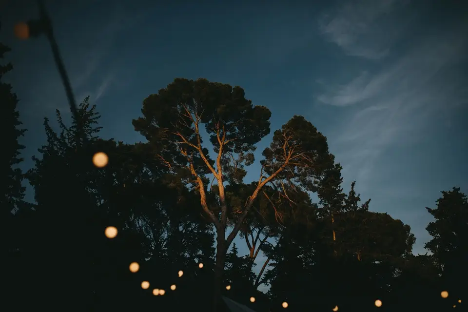 Domaine Saint Hilaire — photo 1