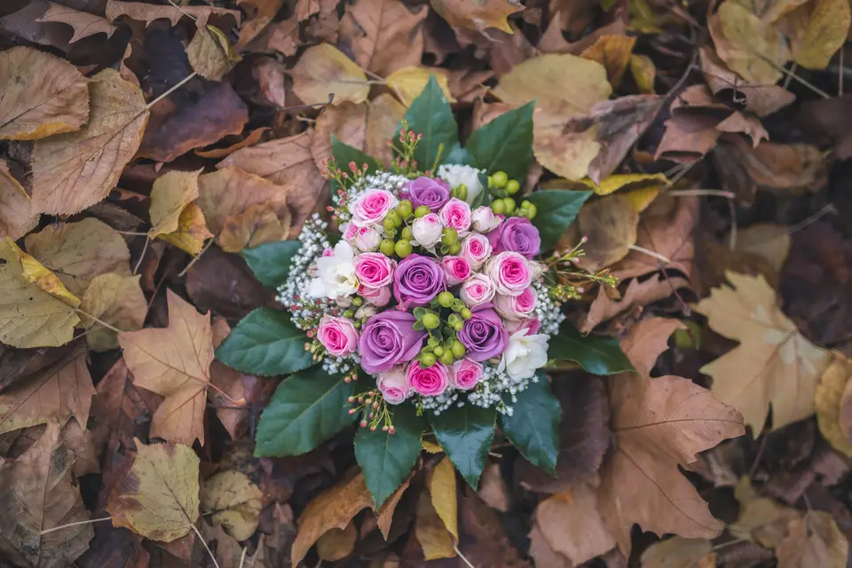 Un tour au Jardin — photo 1