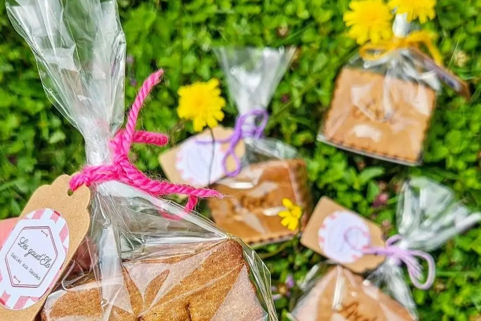 Les Gaud'Elo — photo 2