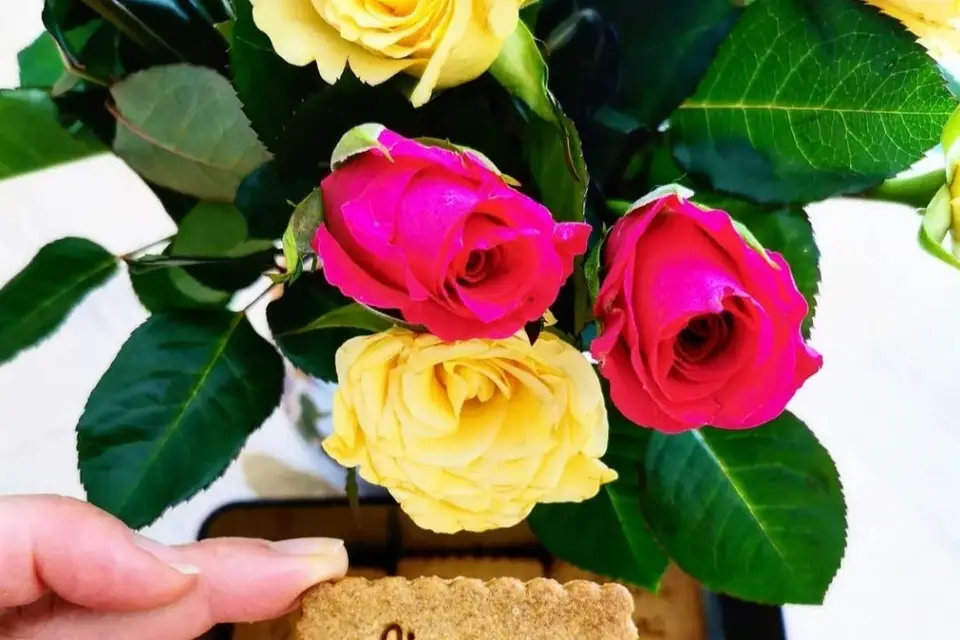 Les Gaud'Elo — photo 1