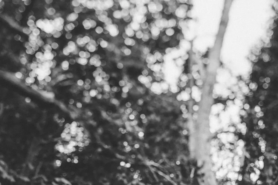 Pholio Photographie - Mariages et Portraits — photo 3