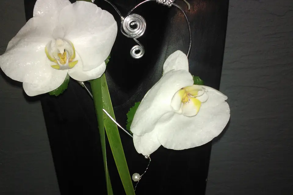 Esprit Nature Artisan Fleuriste — photo 3