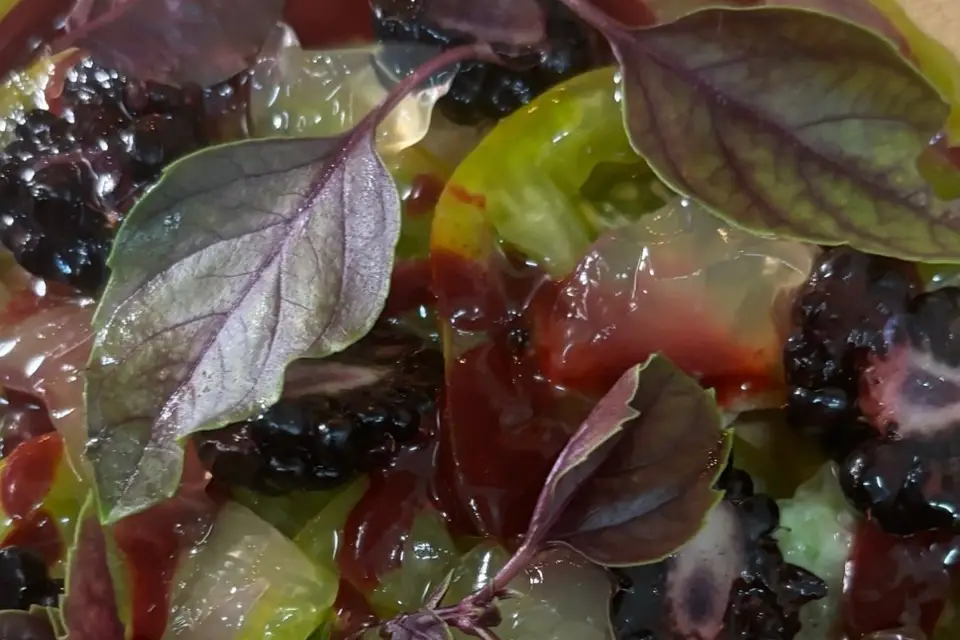 Murmures Events — photo 4