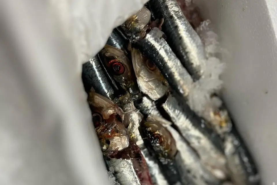 Murmures Events — photo 3