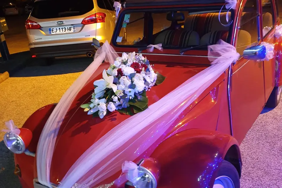 CasaFlore — photo 5