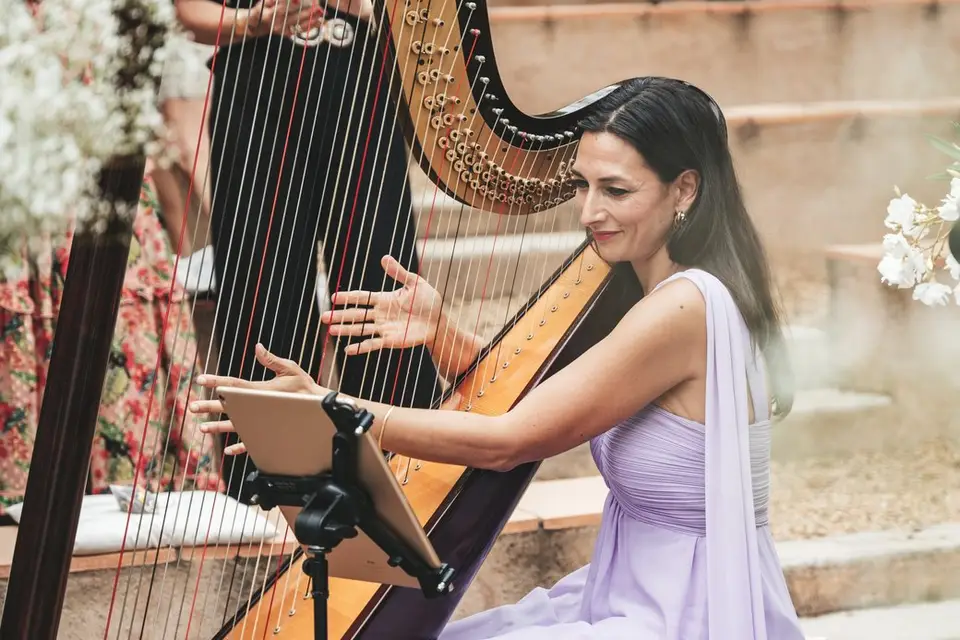 Hedonisterie Wedding Planner — photo 1