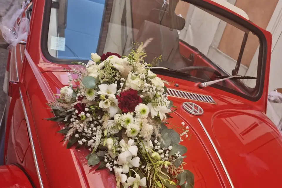 CasaFlore — photo 8