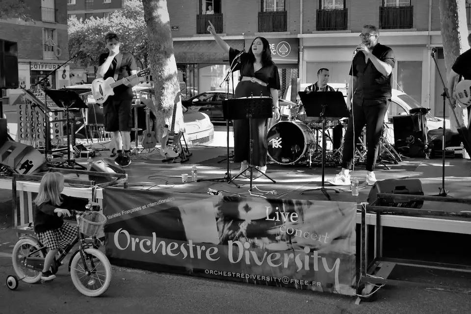 Orchestre de variétés Diversity — photo 4