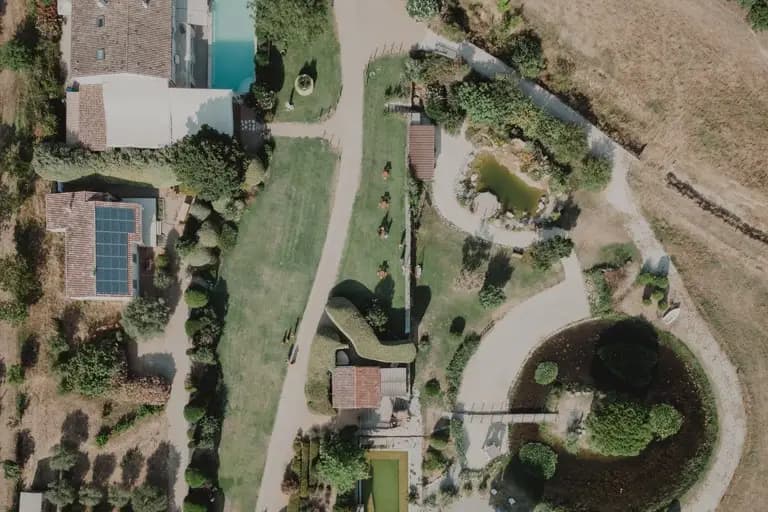 Amourella — photo 6