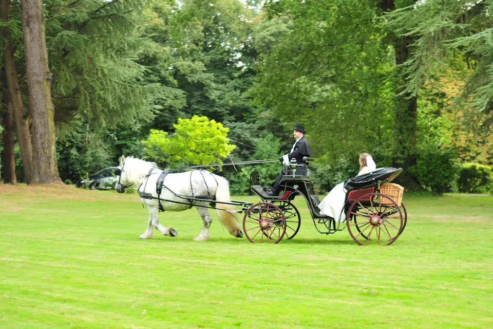 Attelage de La Maison Rouge — photo 3