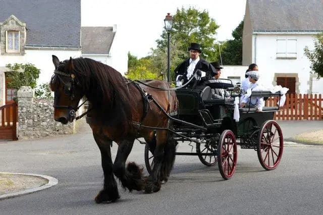 Attelage de La Maison Rouge — photo 4