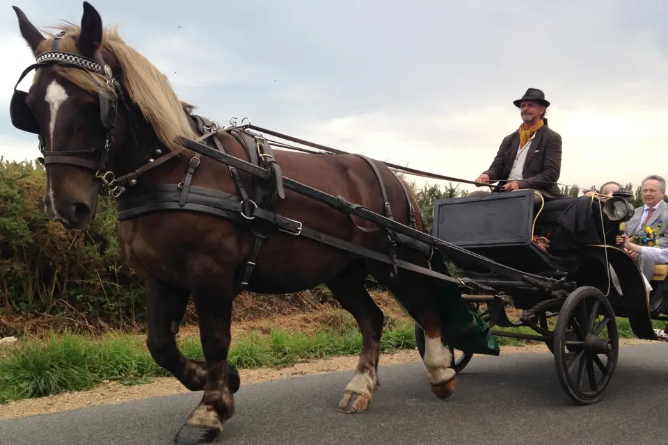 Les Attelages du Fot — photo 5