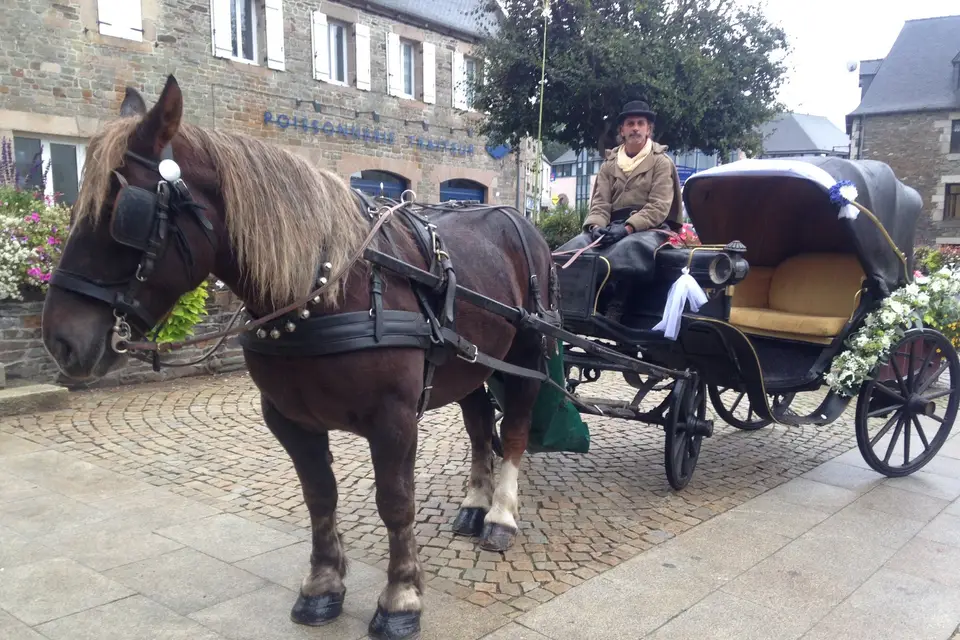 Les Attelages du Fot — photo 2