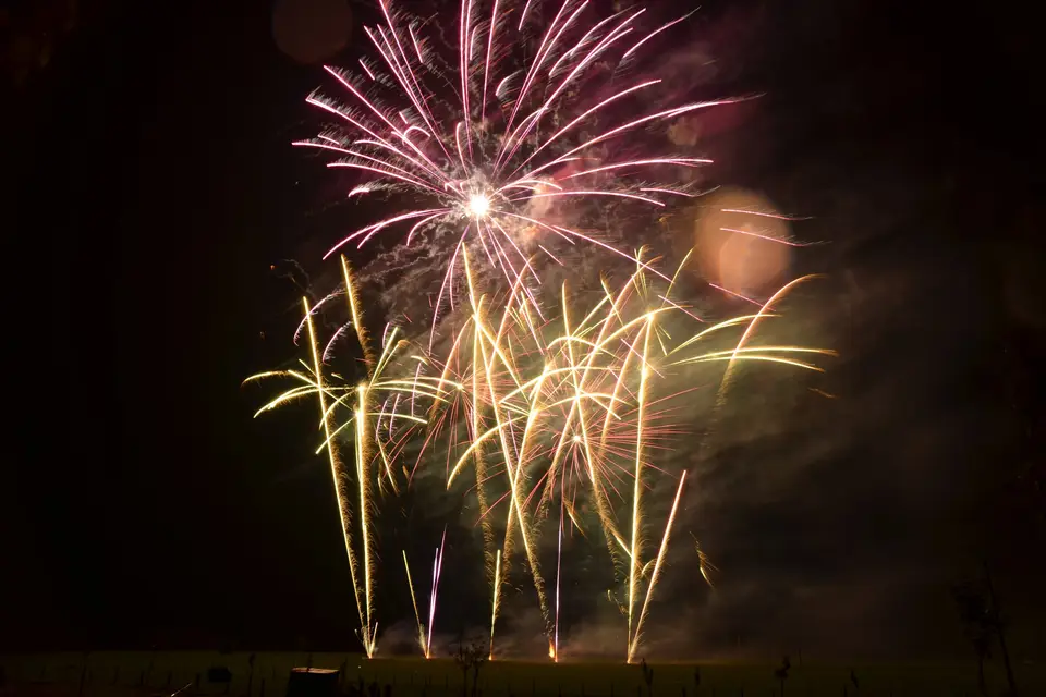 Celesta Spectacles — photo 2