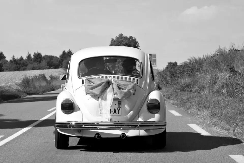 Mars & Venus Mariages — photo 2