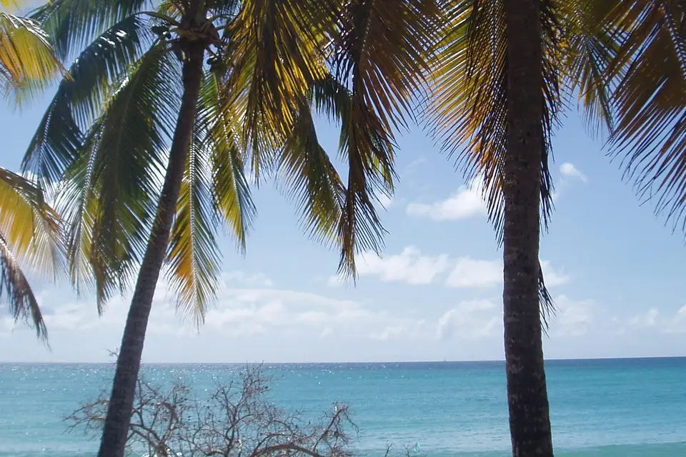 Le Tour d'y Voir — photo 8