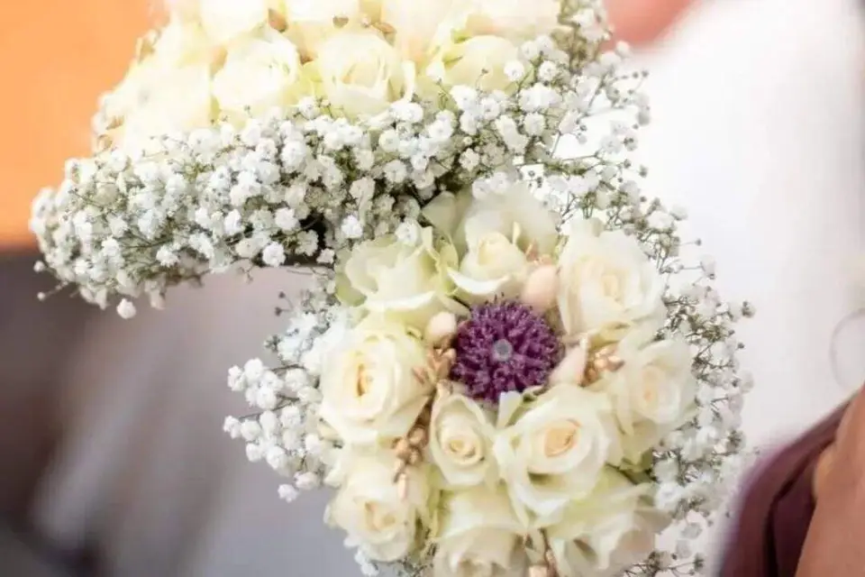 La Ronde aux Fleurs — photo 2