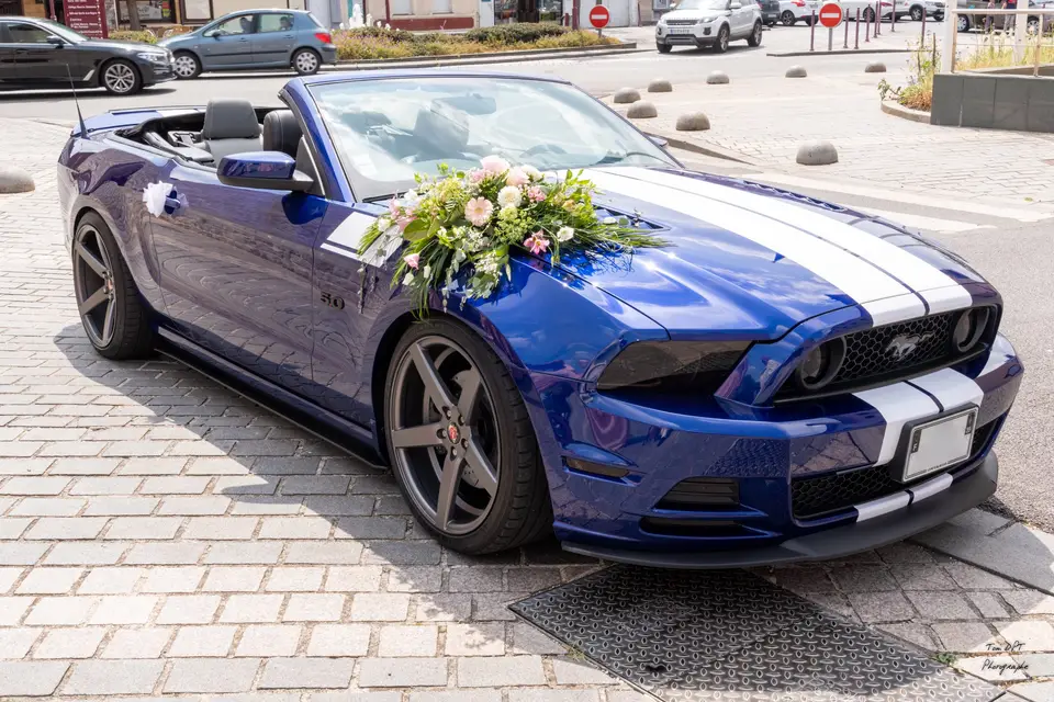 Event's For You — photo 1