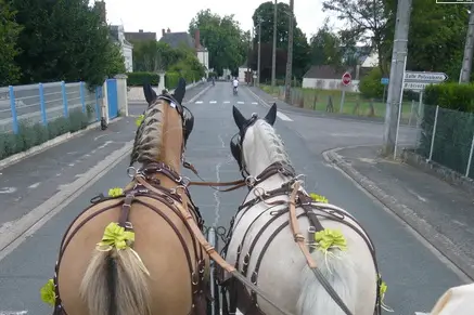 Attelage Plaisir — photo 1