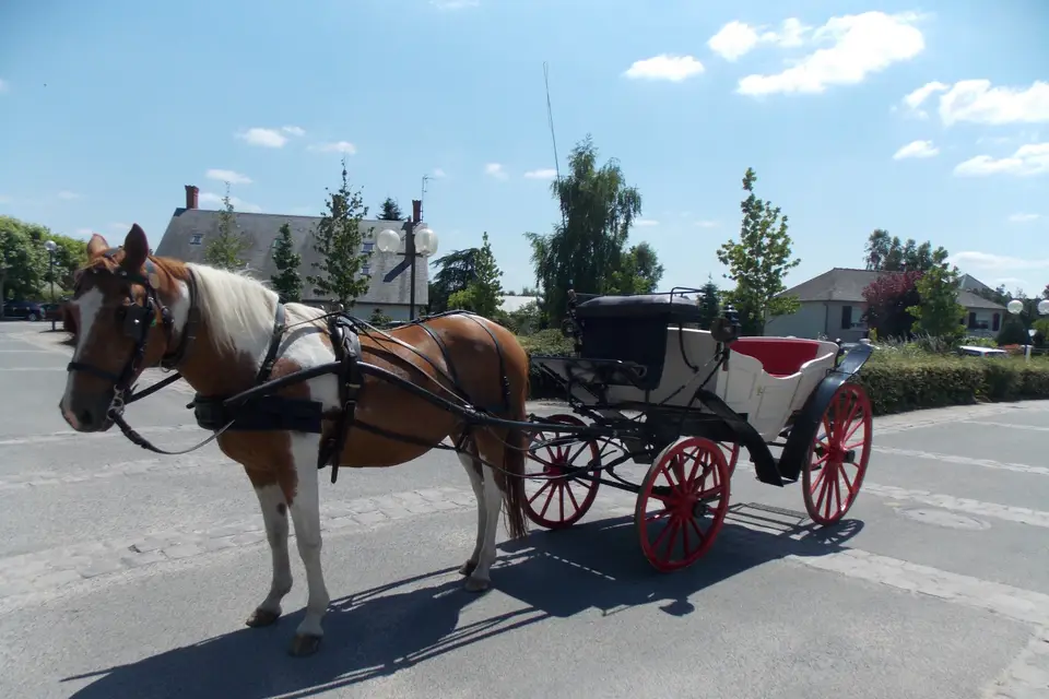 Attelage Plaisir — photo 7