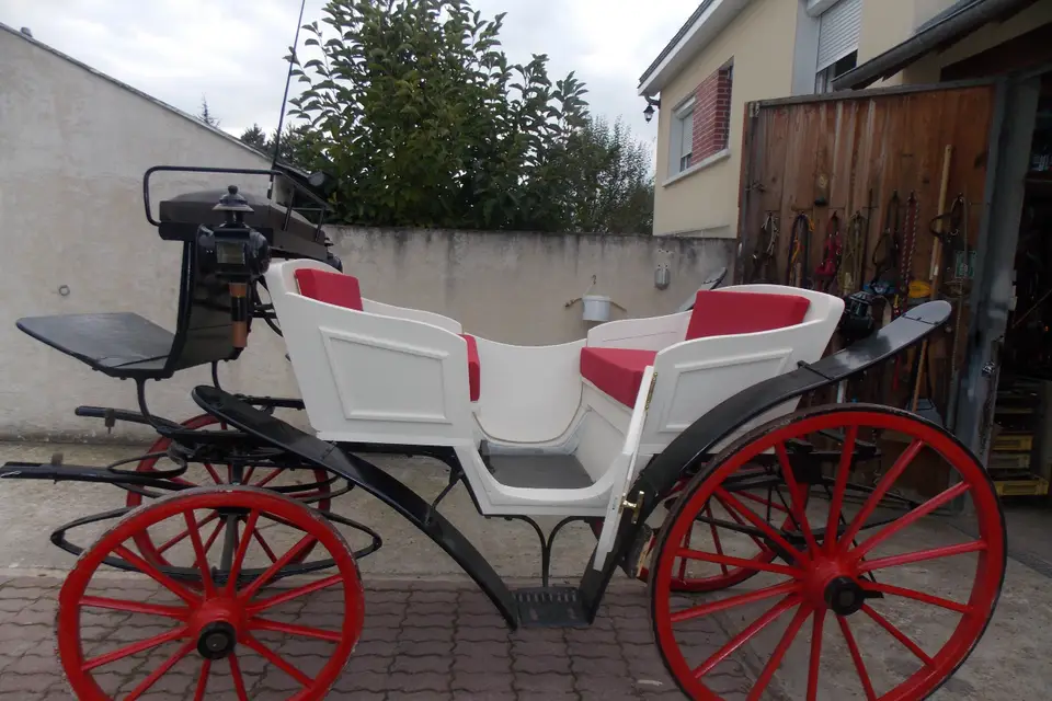 Attelage Plaisir — photo 8