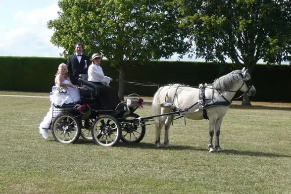 Attelage Plaisir — photo 2