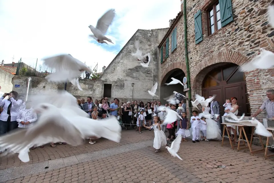 Catalan Events — photo 6