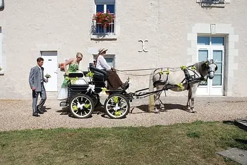 Attelage Plaisir — photo 3