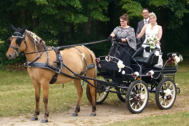 Attelage Plaisir — photo 4