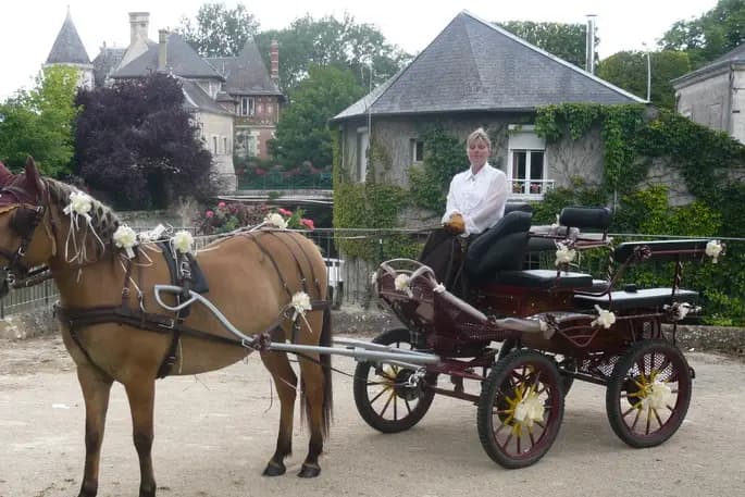 Attelage Plaisir — photo 5