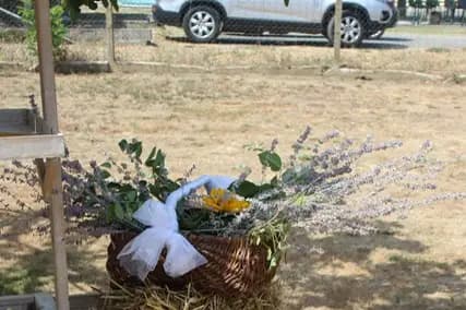 CeciloueDeco — photo 7