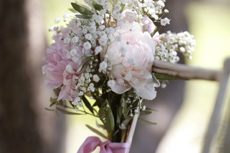 So'Succulentes — photo 5