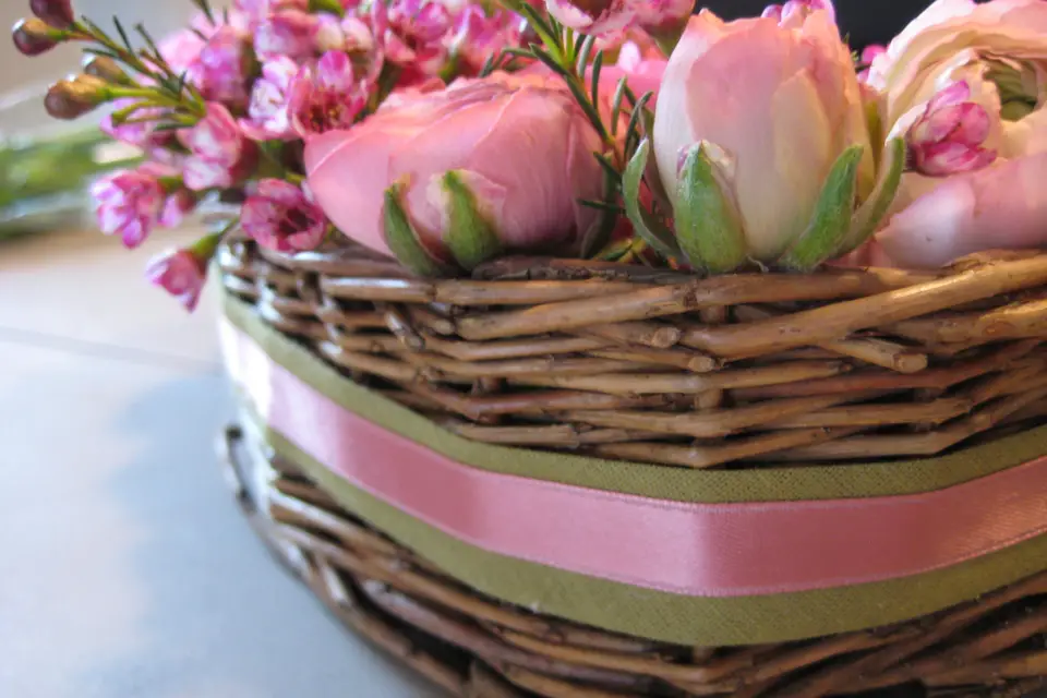 So'Succulentes — photo 2