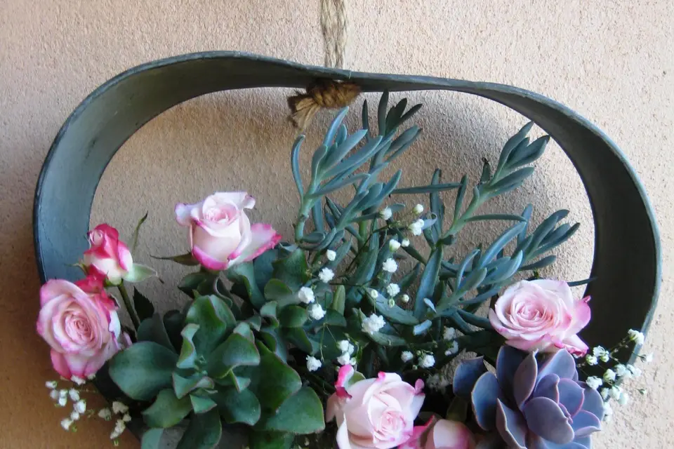 So'Succulentes — photo 4