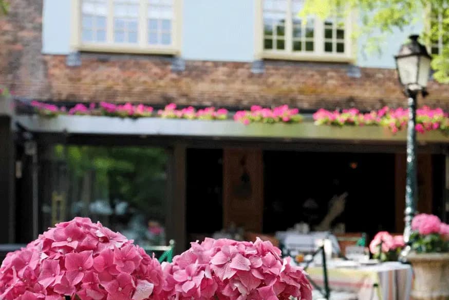 Cazaudehore la Forestière — photo 4