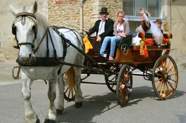 Les Attelages du château — photo 3