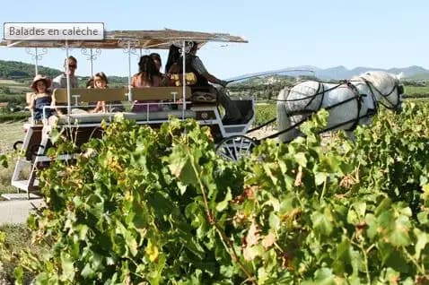 Les Attelages du château — photo 4