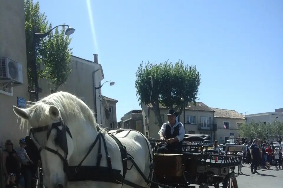 Les Attelages du château — photo 7