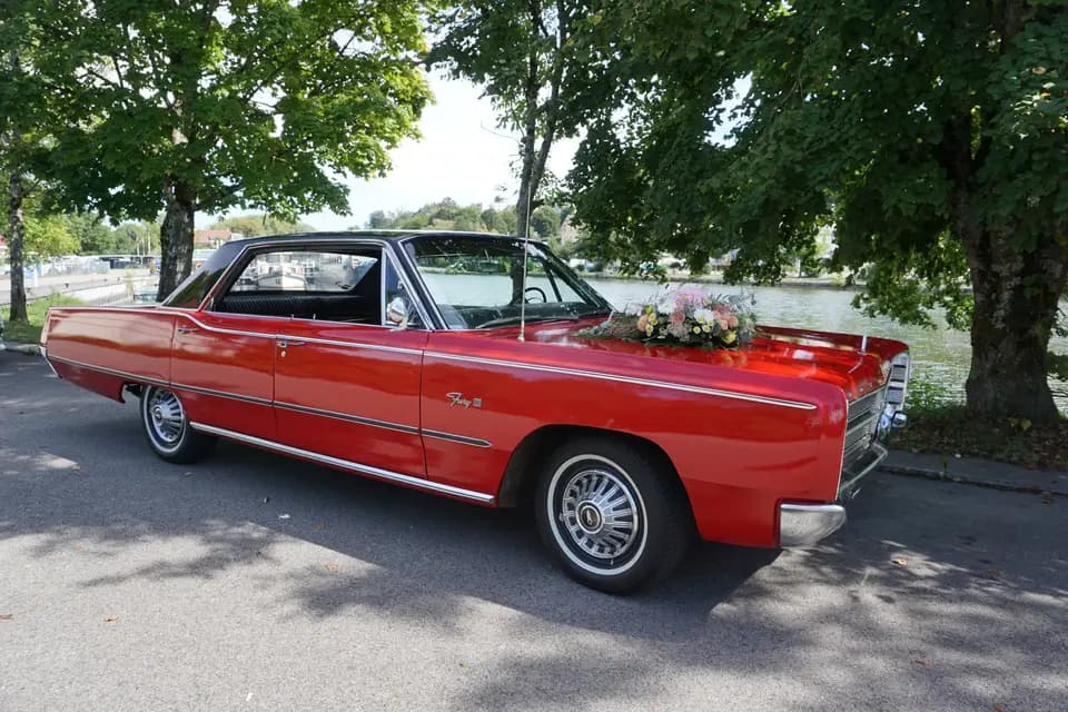 EI Bon Thierry — photo 7